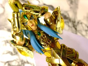 Aquarius_appendix 00