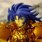 Gemini_Saga appendix