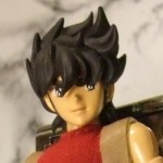 Pegasus Seiya APPENDIX