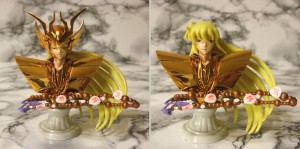 Virgo_appendix